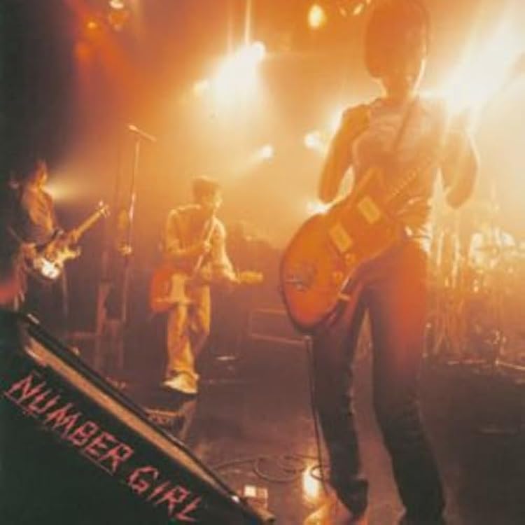 Amazon.co.jp: LIVE ALBUM『感電の記憶』2002.5.19 TOUR『NUM